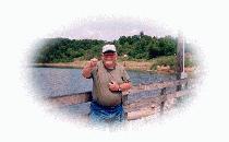 David K. McGraw